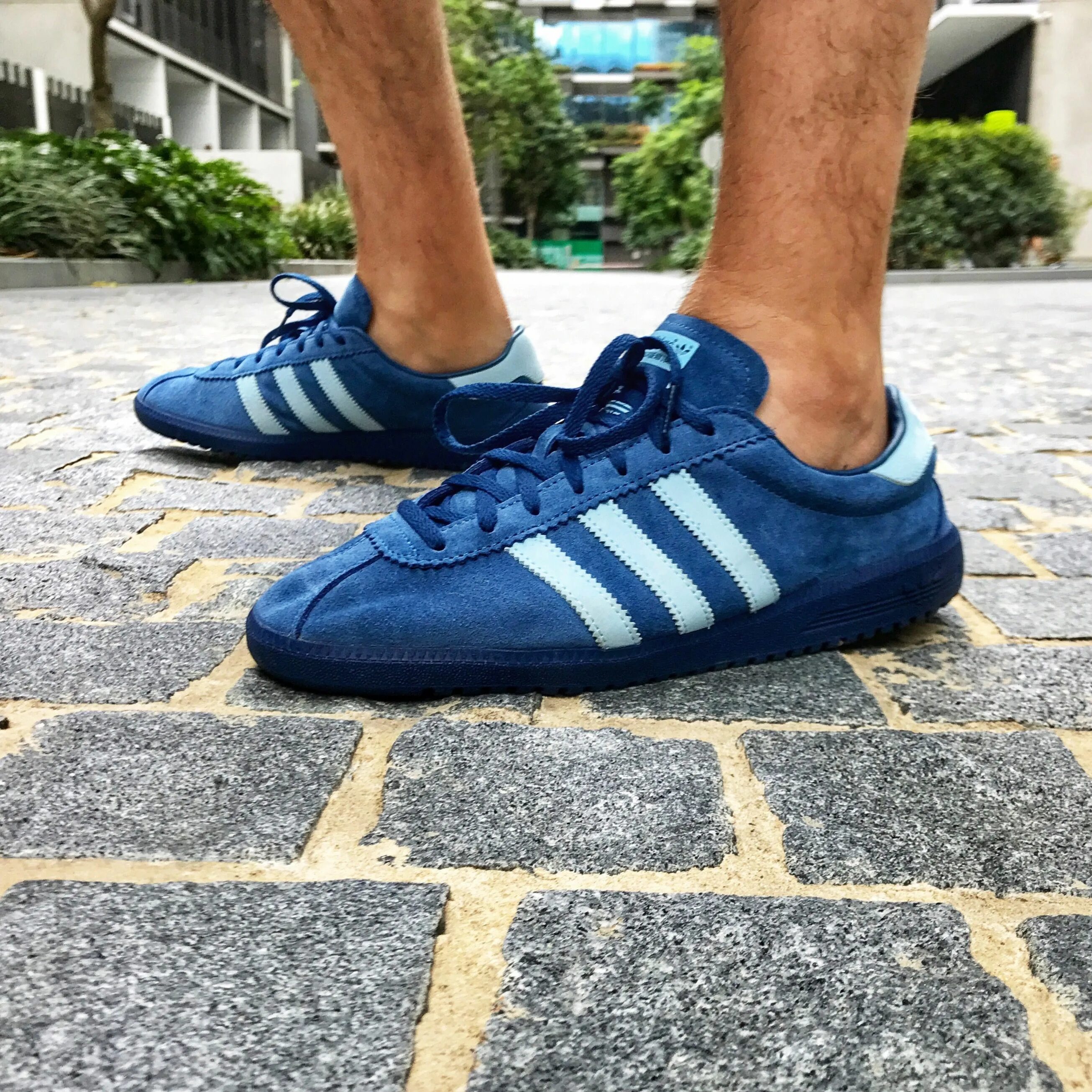 Кроссовки adidas Bermuda. Adidas Bermuda 2017. Адидас Бермуда. Адидас Бермуда синие. Адидас коял