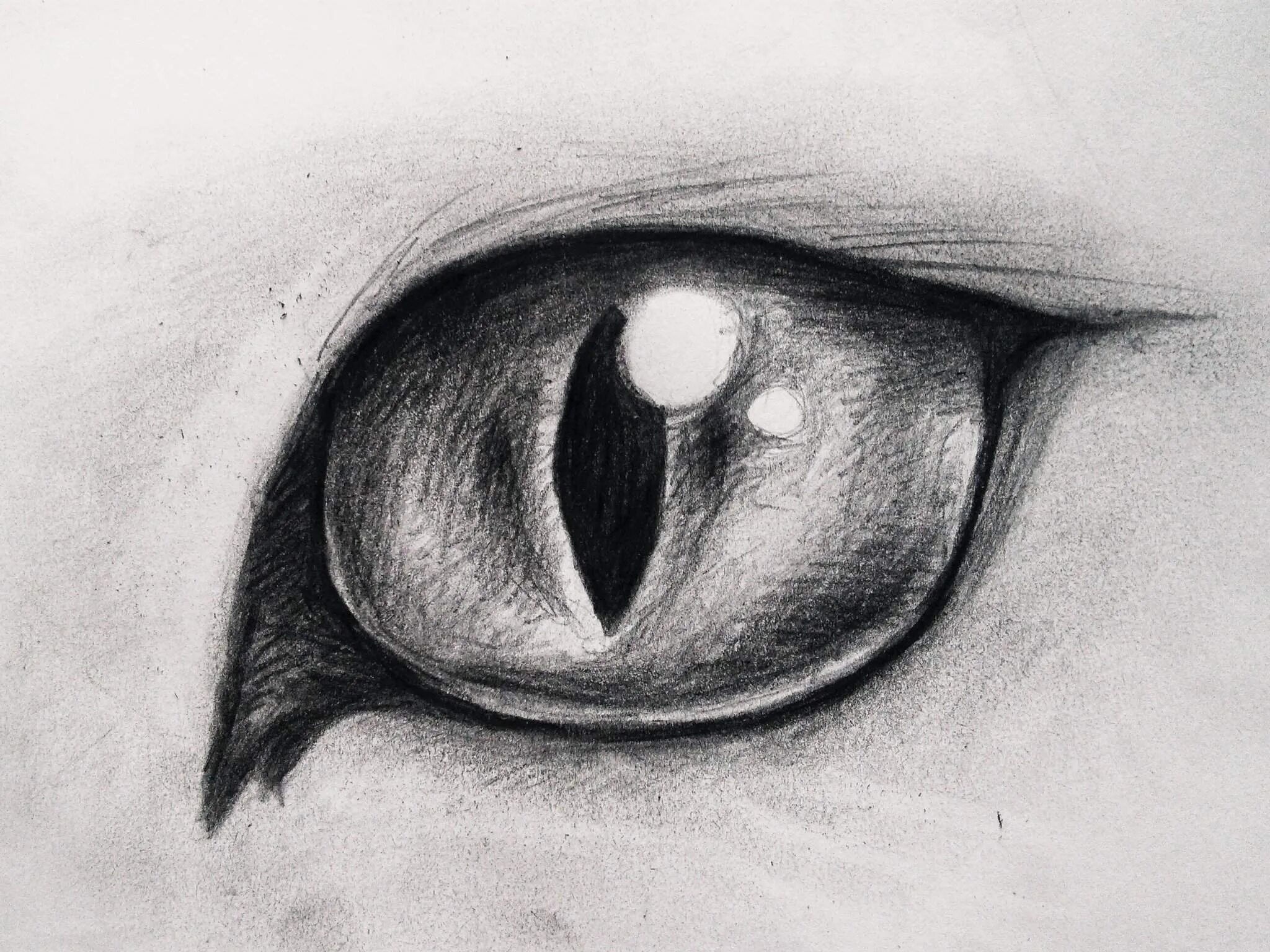 Глазки карандашом. Глаза для срисовки карандашом. Глаз рисунок легкий. Кошачий глаз карандашом. Рисунки карандашом для срисовки глаза.