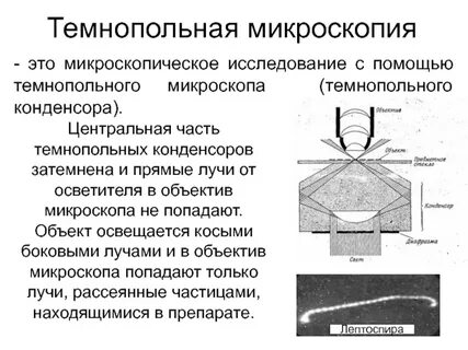 1 микроскопия