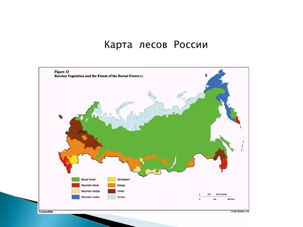 Хвойный лес на карте. Карта еловый лес. Карта еловый лес. Карта еловый лес. Карта еловый лес.