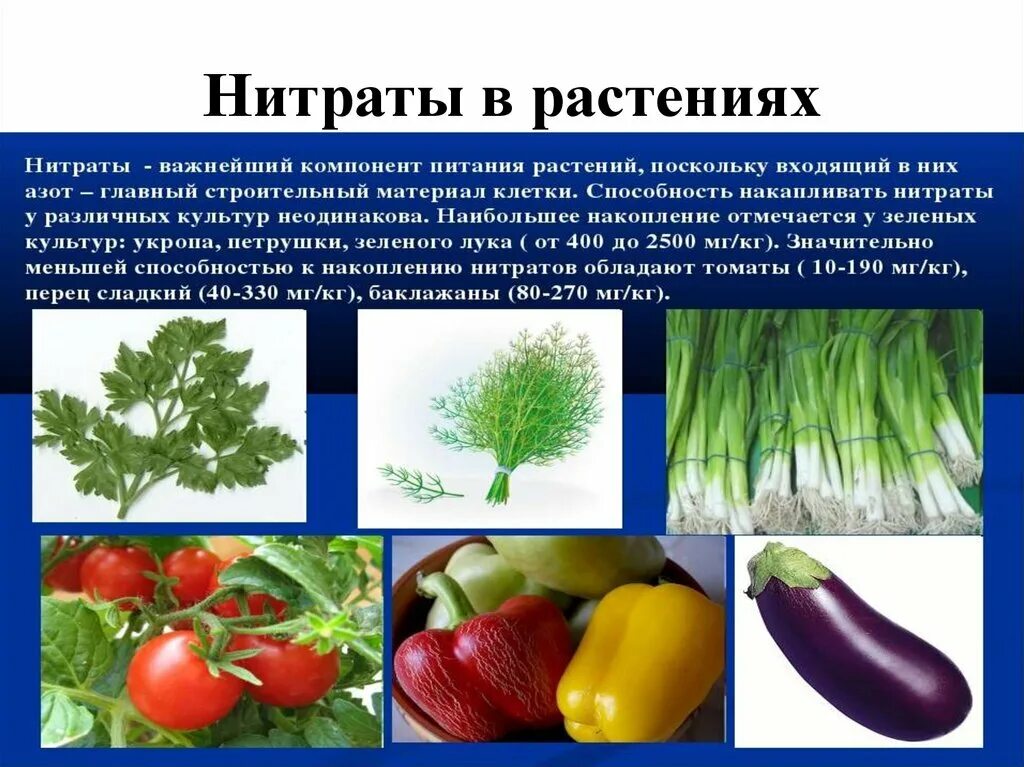 Образуют нитраты используют в качестве. Нитраты нитриты нитрозамины. Влияние нитратов на растения. Нитраты в овощах. Презентация на тему нитраты.