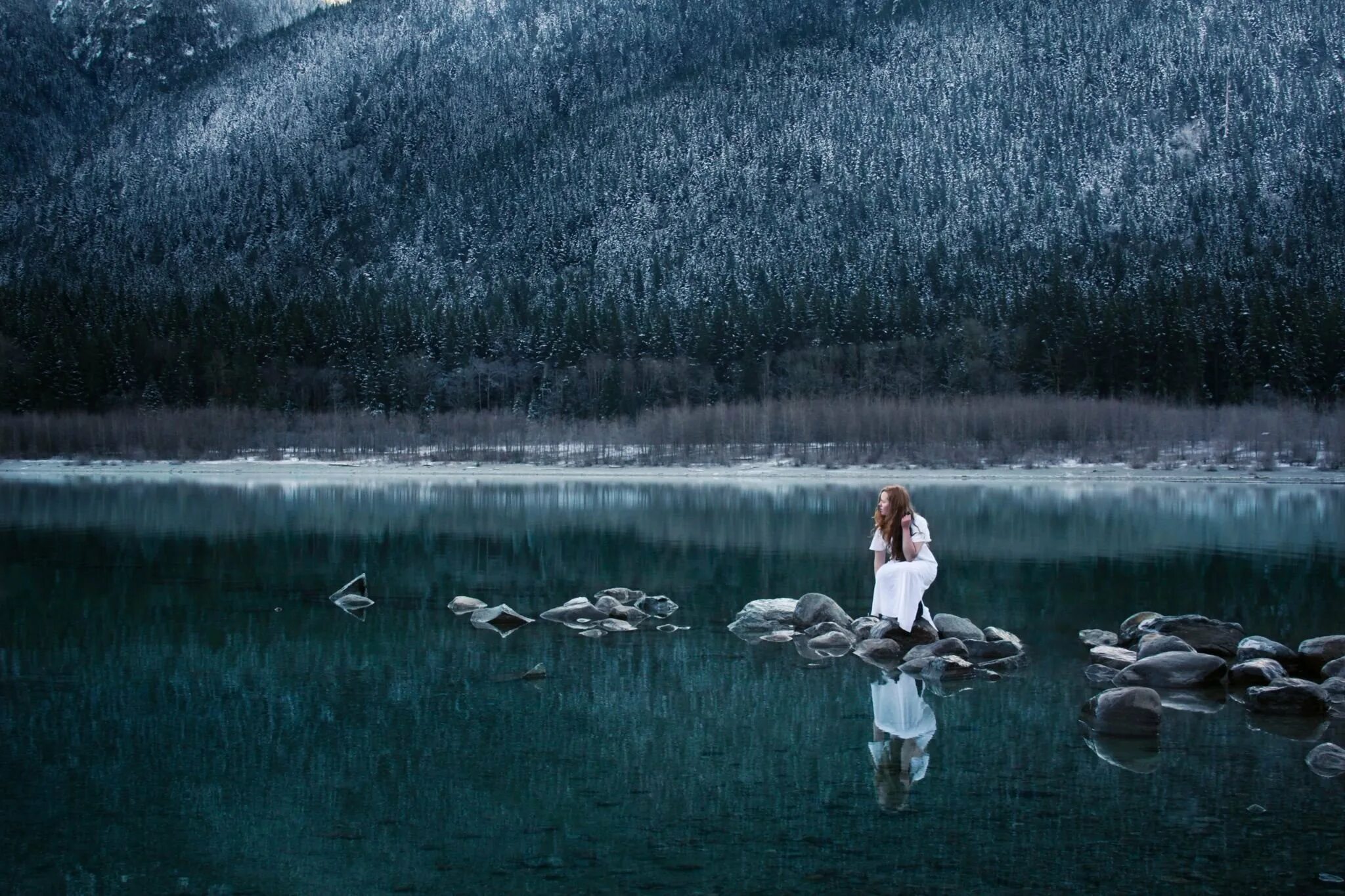 Разговор с природой. Элизабет Гэдд. Фотограф Lizzy Gadd. Фотографии Элизабет Гэдд. Уединение с природой.