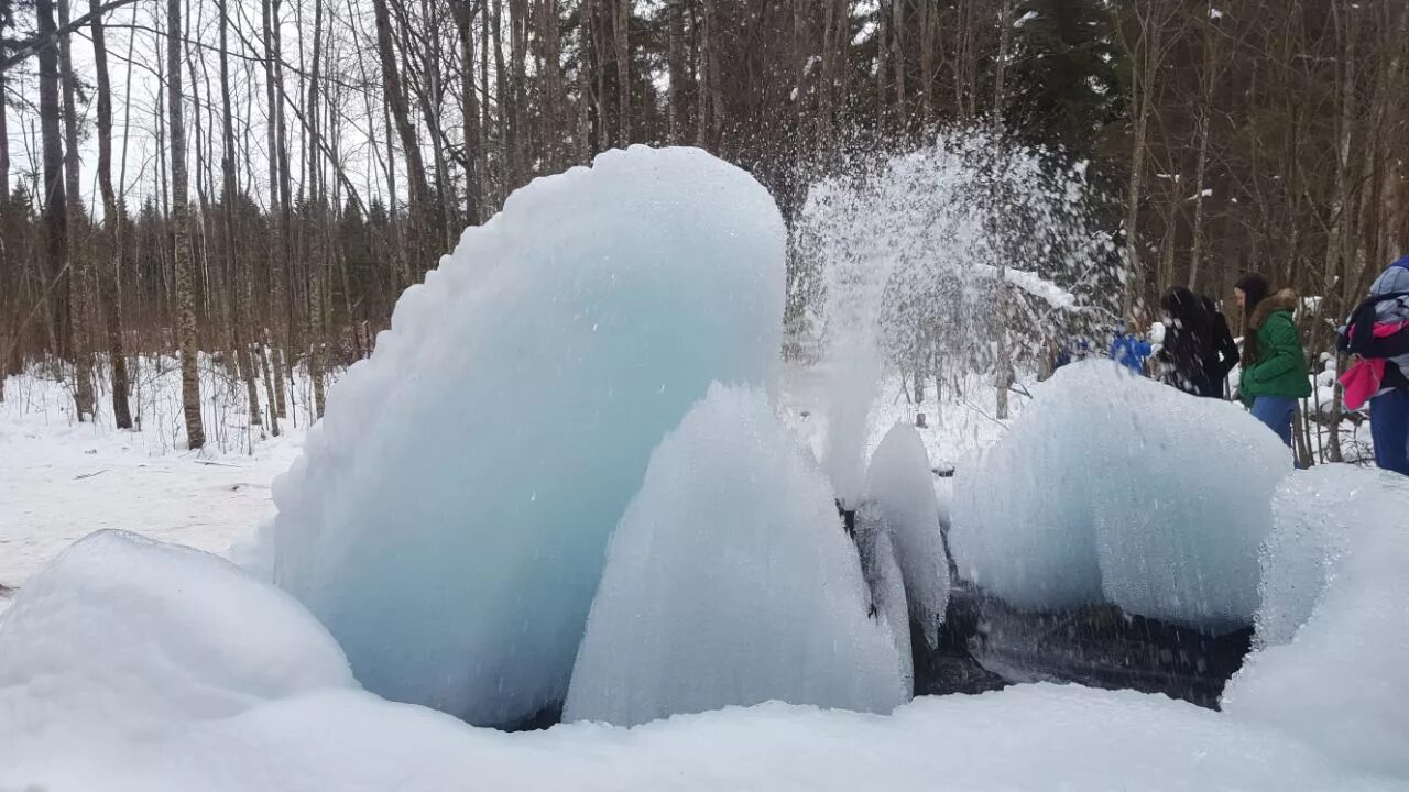 Гейзеры в гатчинском районе. Гейзеры в гатчине. Гейзеры в гатчине. Гейзер корпиково гатчинского района. Гейзеры в гатчине зимой.