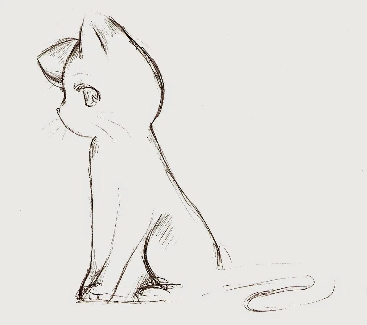 Кошка карандашом. Срисовка кота для начинающих. Срисовка кота для начинающих. Лёгкие рисунки. Легкие рисунки для срисовки.