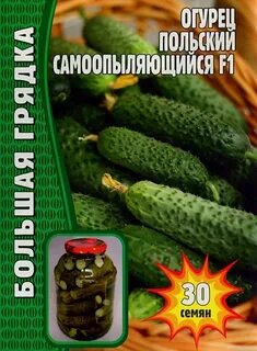 Семена польских огурцов