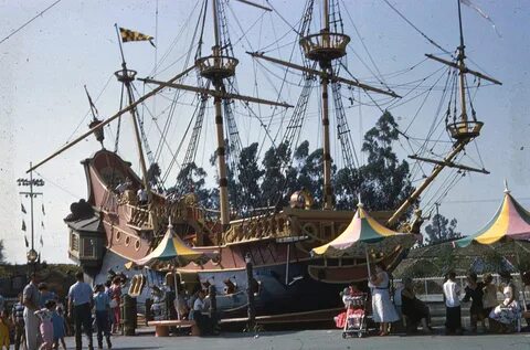 Fly in a pirate