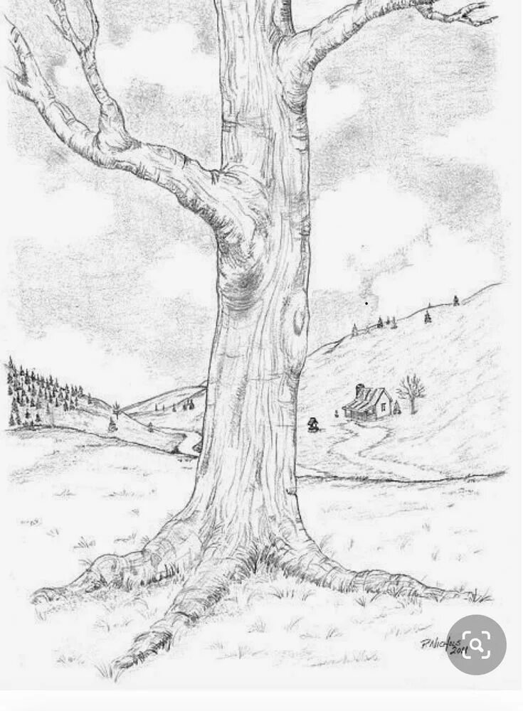 Рисунок дерева 6 класс изо