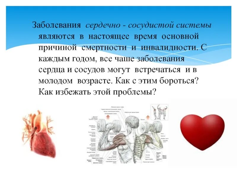 Укрепление сердечной. Как укрепить сердце. укрепление сердечно-сосудистой системы. основные причины заболеваний сердечно-сосудистой системы. поражение сосудов сердца.