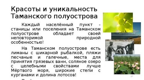 Сравните природу закубанской равнины и таманского полуострова