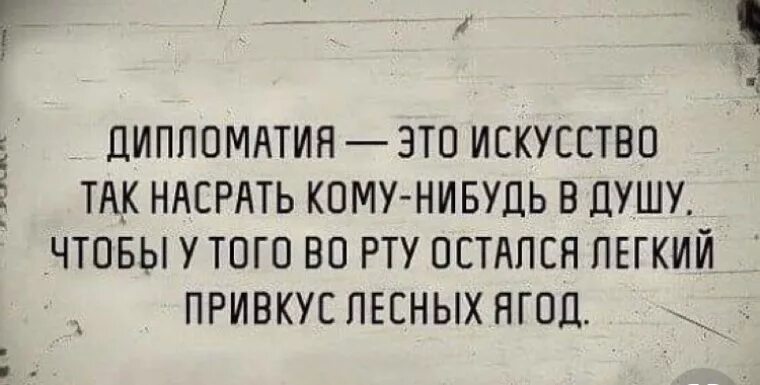 Искусство дипломатии. Дипломатия это искусство так нагадить в душу. Искусство дипломатии анекдот. Шутки про дипломатию.