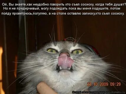 Включи где говори