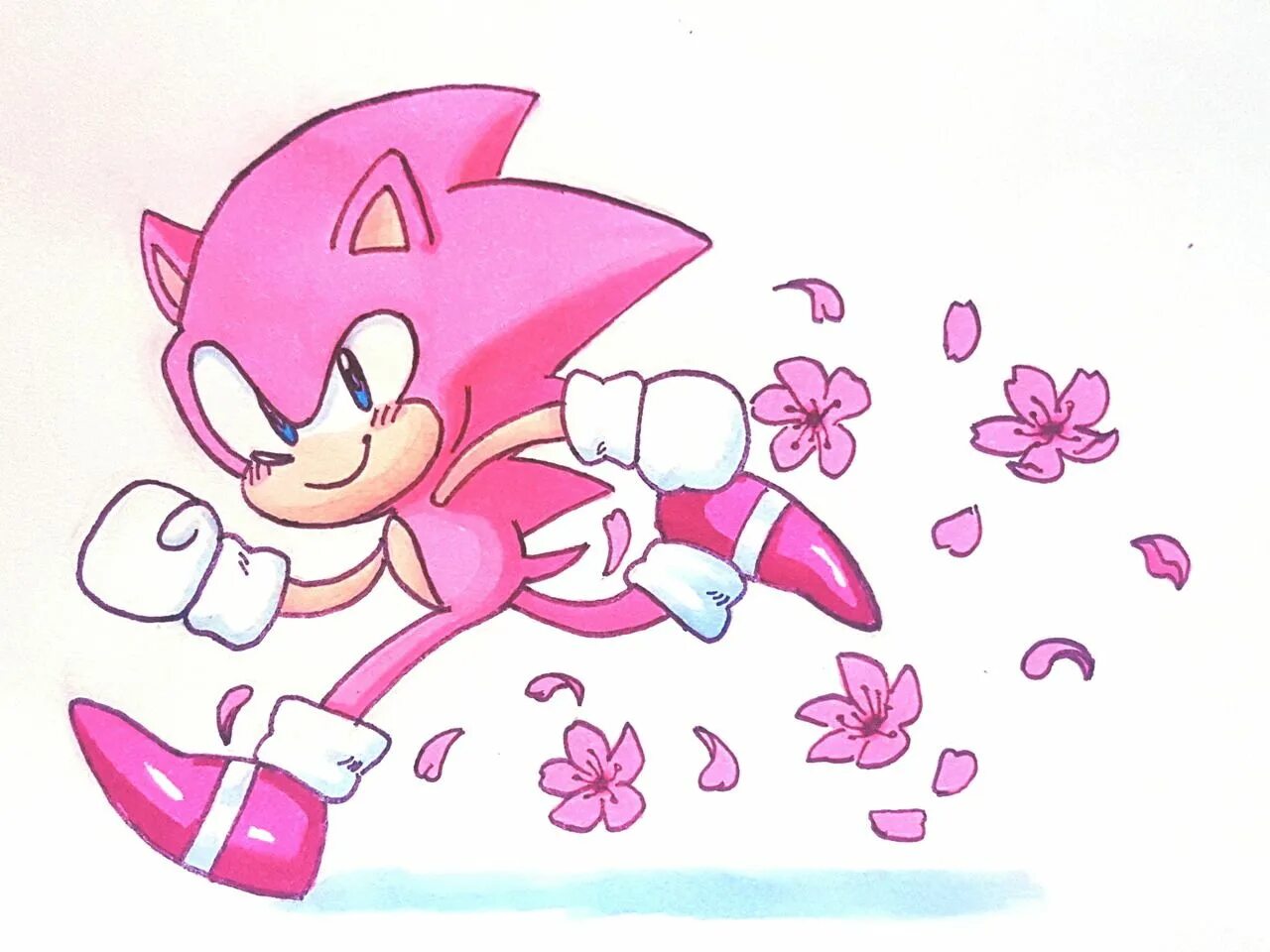 Как зовут розового соника. Пинк соник. sakura sonic. розовый соник ёж. розовая из соника.