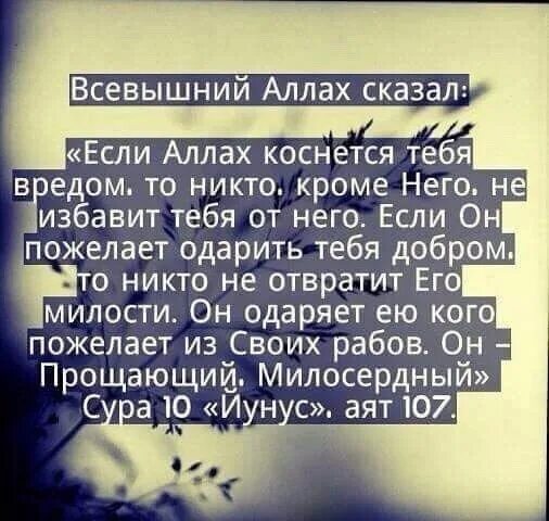 Я не хочу тебе вредить 16 глава. Всевышний испытывает. Всевышний сказал.