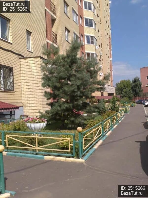 Фото: Levita-med, медцентр, клиника, Южнобутовская ул., 10, Москва - Яндекс Карт