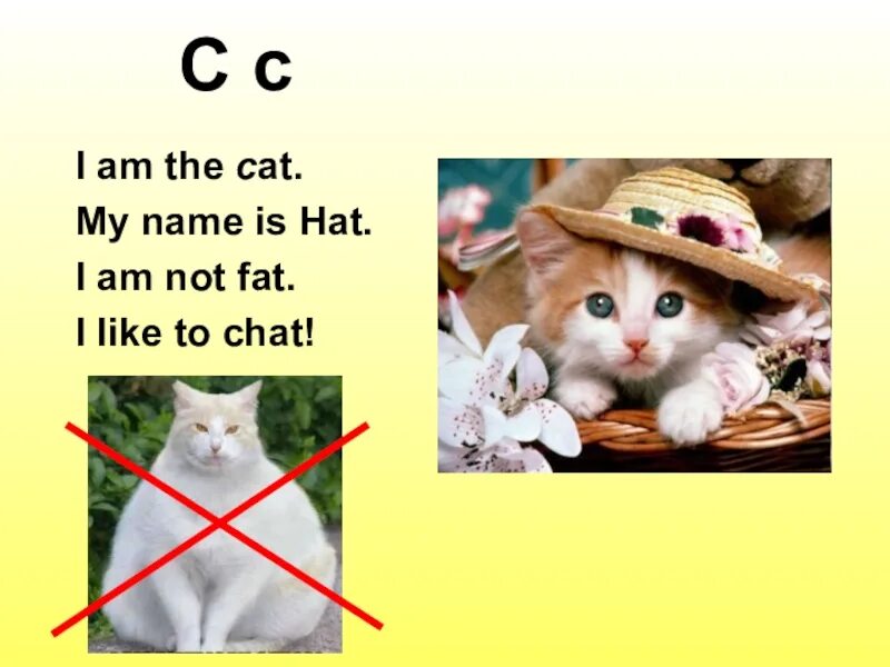 I like my name. I am a cat my name is hat. стихи i am a cat. i am the cat my name is hat i am not fat i like to chat. стих i cat cat.