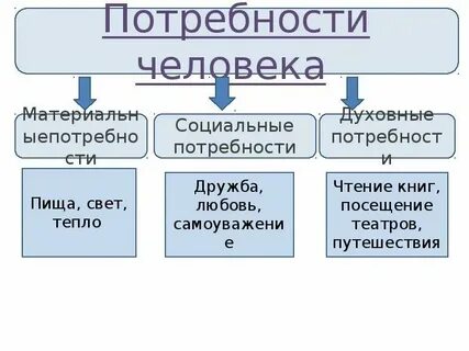 Основа общества примеры 6 класс