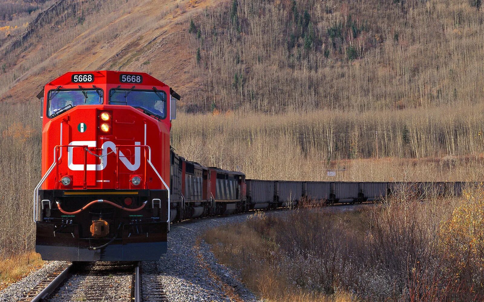 Эльгауголь Северный тепловоз. Canadian National Railway locomotives. Локомотив грузового поезда. Поезд тепловоз.