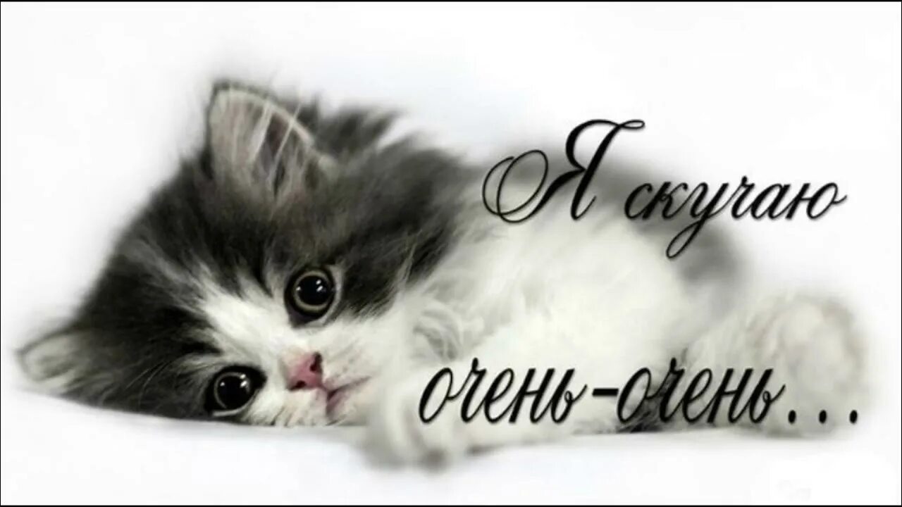 Очень скучаю по тебе. Люблю скучаю. Открытки скучаю любимый. Зайчик с сердцем в котором надпись "скучаю по тебе". Скучаю картинки.
