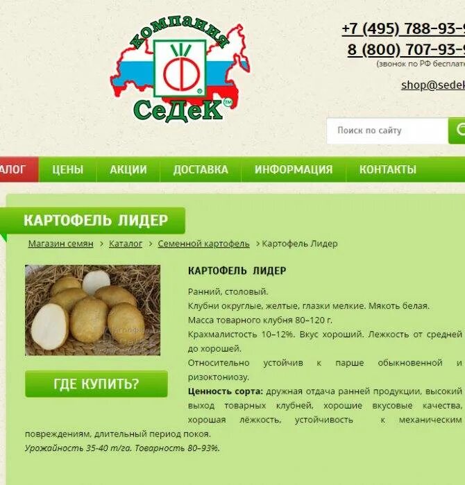 Лидер картофель описание