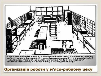 Организация мясного цеха