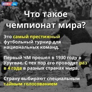 Info что это