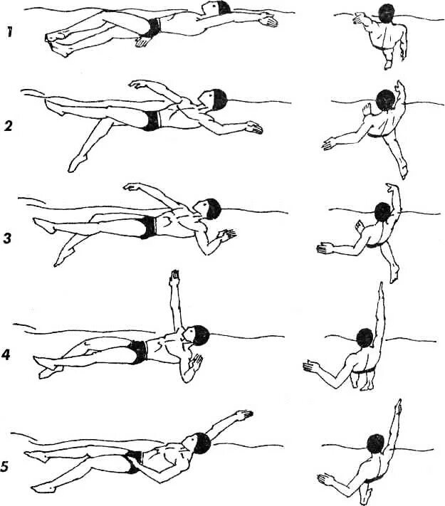 Упражнения научиться плавать. Техника плавания кролем движение. Техника плавания стилем Кроль на спине. Плавание на спине -Баттерфляй - Кроль -брасс. Техника плавания способом Кроль на спине движение рук.