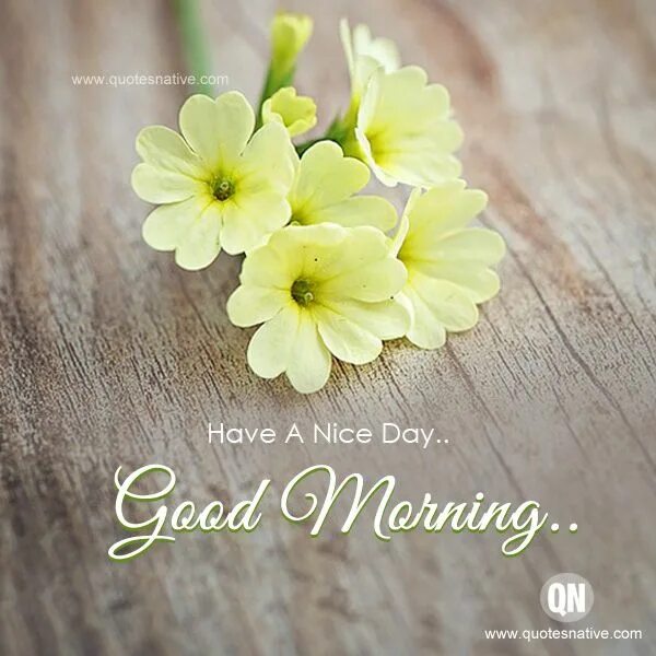 Take a nice day. Good day открытки. открытка have a nice day. have a nice day картинки. открытка have a good day.
