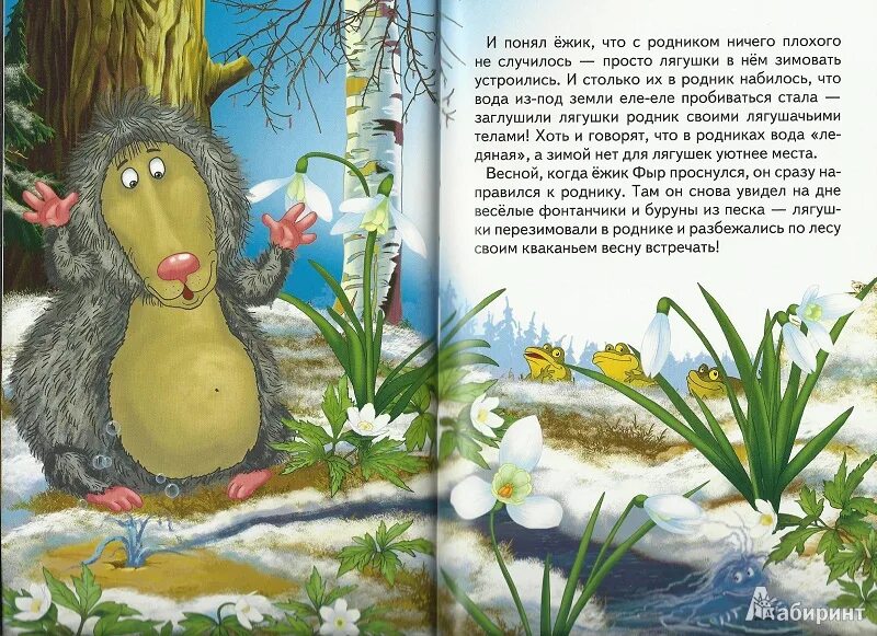 Ежик сказка читать. Шевченко сказки ежика фыра. понарошкино сказки ежика фыра. короткая сказка про ежика. сказки про ежат.