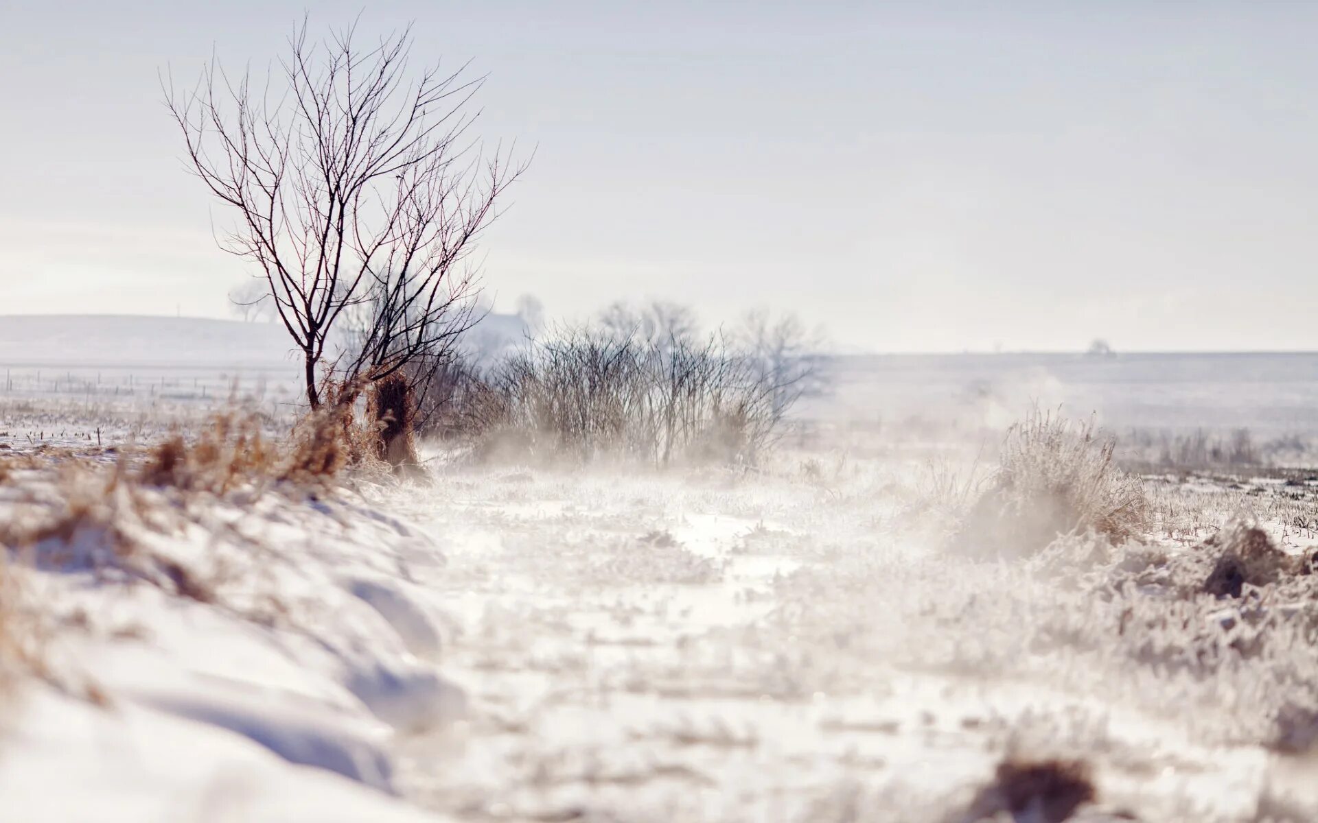 Снежное поле. Зимний рассвет в степи. Пусто зимой в степи. Зима в степи волгоградской области. Снег в степи.