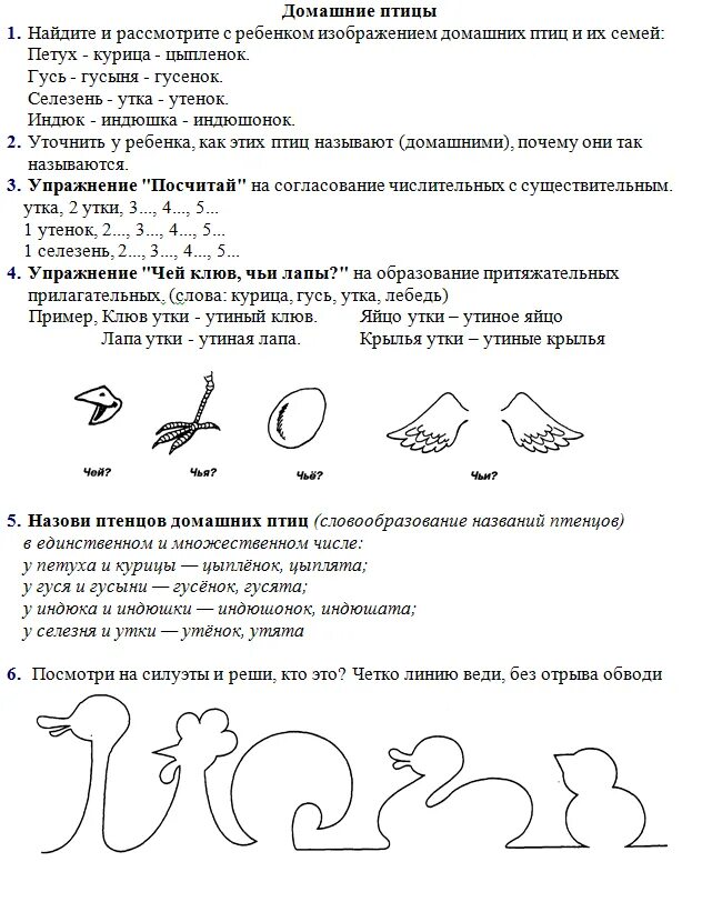 Домашние птицы домашнее задание логопеда. Задание логопеда по теме домашние птицы. Логопедические упражнения домашние птицы. Домашние птицы 5-6 домашние задания. Задание логопеды домашние птицы