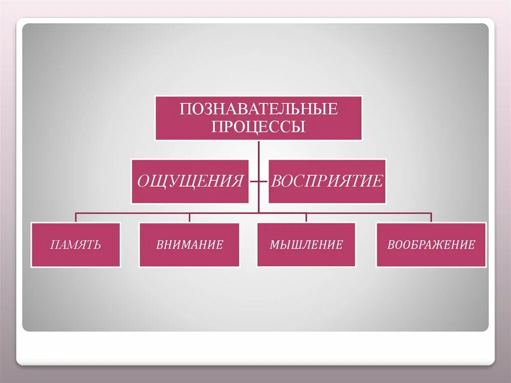 Восприятие и память. Познавательные процессы. Познаватель процессы. Познавательные процессы восприятие. Познавктельные процесс.