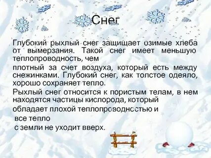 Почему глубокий снег предохраняет озимые хлеба