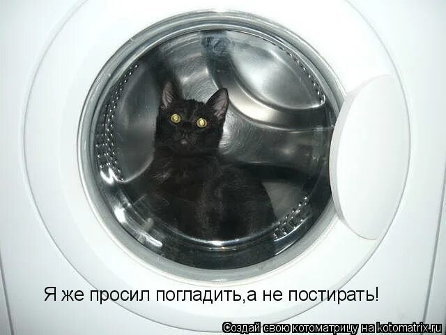 Правда жизни цитаты. Ребенок ест из миски кота это проблемы кота. Не стирано не глажено. Не стирано не глажено. Глажка запрещена значок.