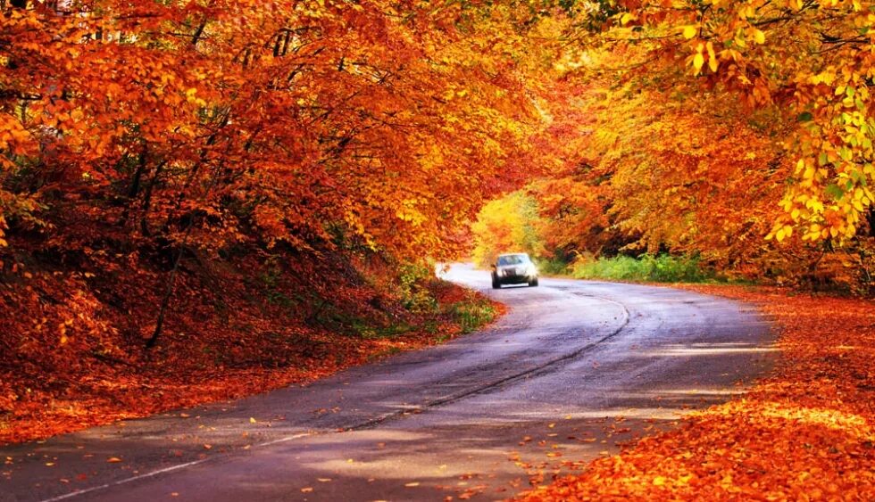 Hot autumn. Hot autumn