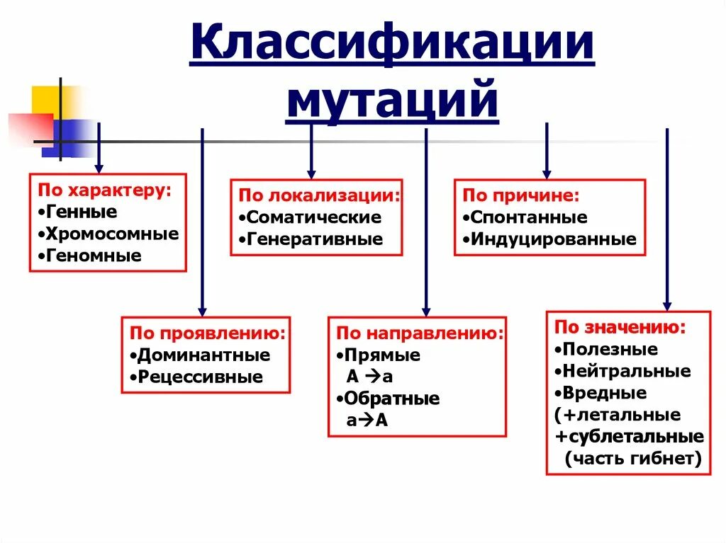 Появление рецессивных мутаций. Мутации классификация мутаций. Классификация мутаций генные хромосомные геномные. Классификация типов мутаций. Классификация мутаций по локализации.