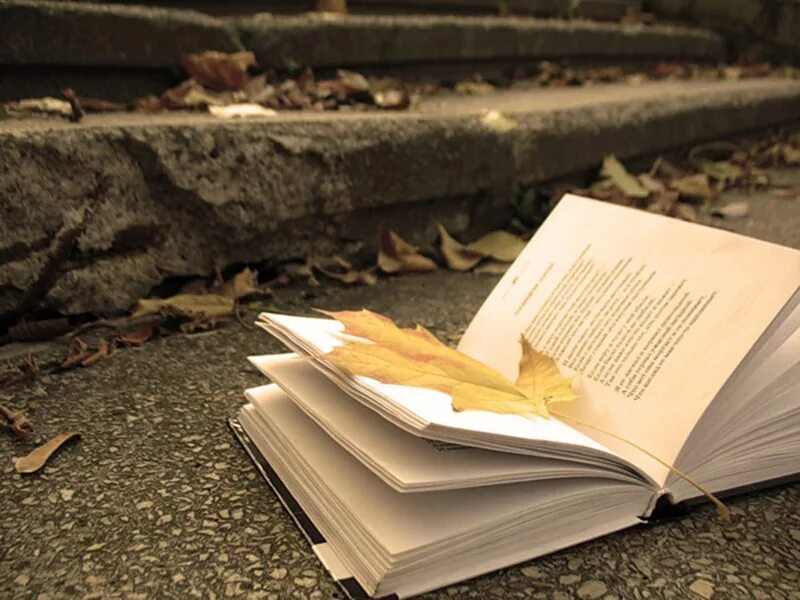 Книги на фоне цветов. Книга стихи фото. Поэзия картинки. Японские стихи книга. Красивые стихи в книге.