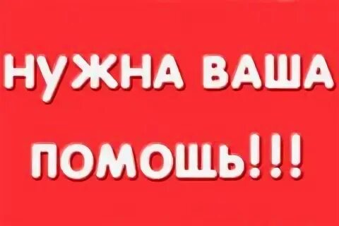 Пост помощи. Нужна помощь. Просим помощи. Очень нужна ваша помощь. Просим помощи.