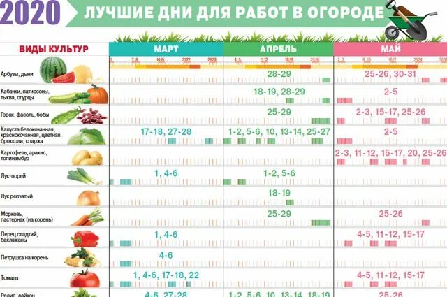 Посевной календарь. Лунный посевной календарь. График посадки рассады. Календарь посадки огорода. Лунный календарь на апрель 2020 садовода