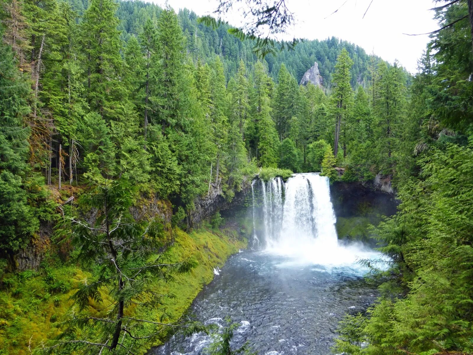 Река шобан канада. Река маккензи канада. Дельта реки маккензи. Река маккензи фото. Дельта реки маккензи.