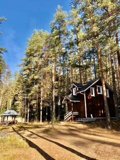 Петяярви ленинградская область