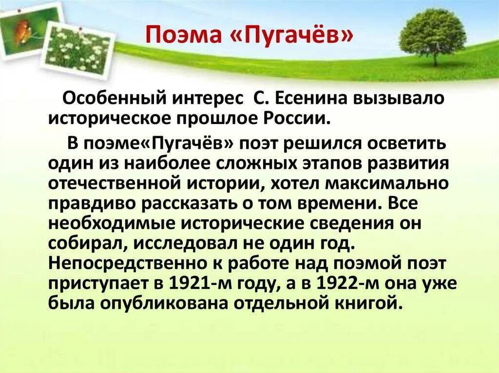 Содержание поэмы пугачев. Поэма пугачев. анализ поэмы пугачев. поэма пугачев есенин.