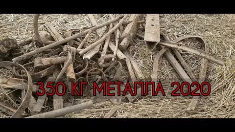 Все из за металлокопа дзен новое видео
