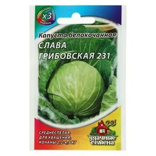 Грибовская капуста описание сорта характеристика