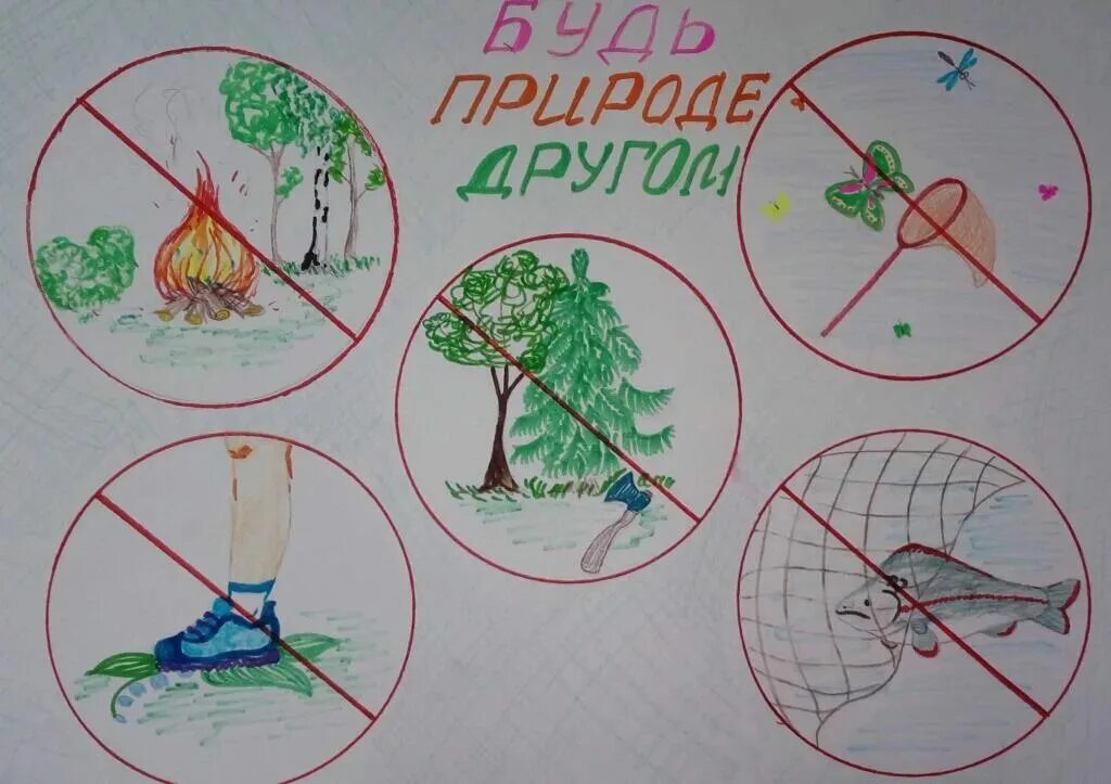 Берегите природу для дошкольников