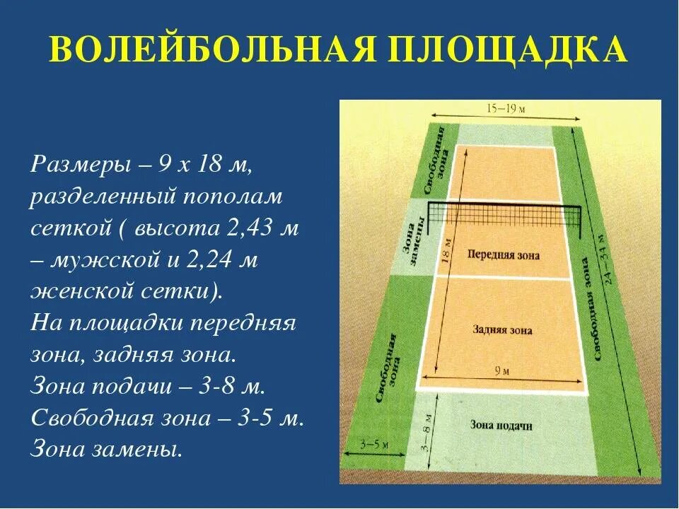 Какие размеры площадки в волейболе