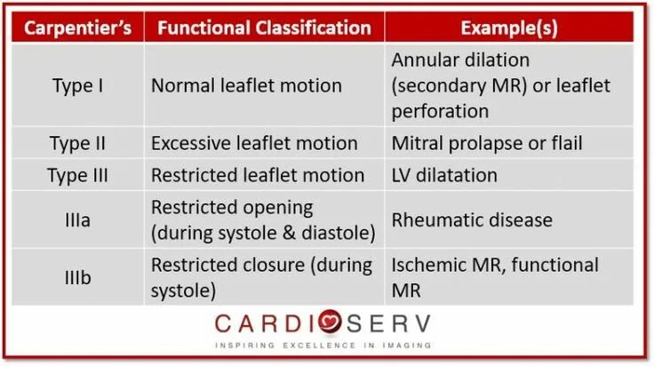 Classification examples