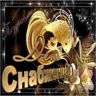 День снабжения