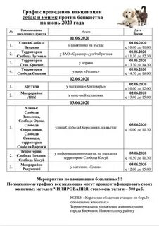Прививка от бешенства собаке когда можно гулять