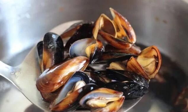 Мидии в море на дальнем востоке. Мидии гигант-киви в 1/2 раковины 30/45 - 1 кг, н. Мидии чили. Мидия грея на полустворке. Мидии гигант киви в полустворке.