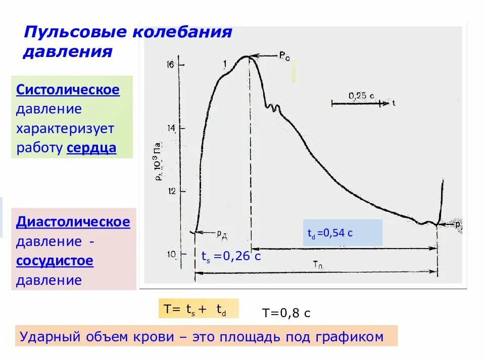 О чем говорит пульсовое давление